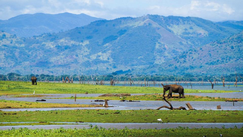 Udawalawa Park - top destination in Sri Lanka