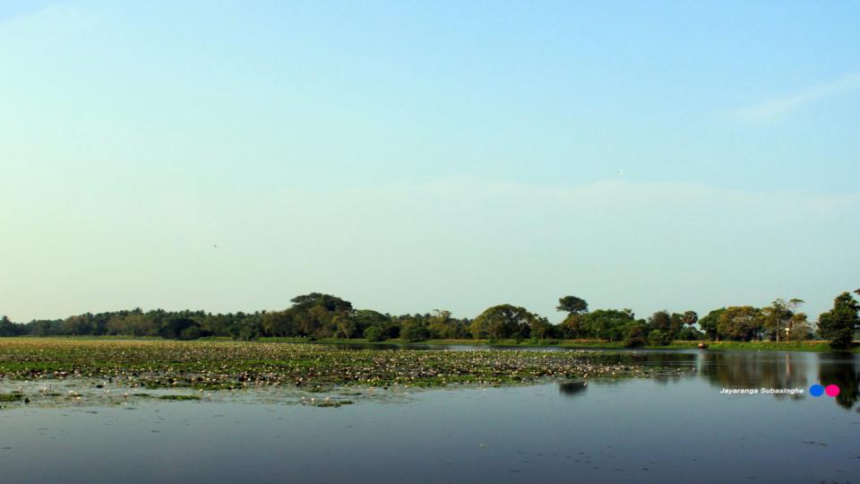 Anawilundawa Wetland Sanctuary