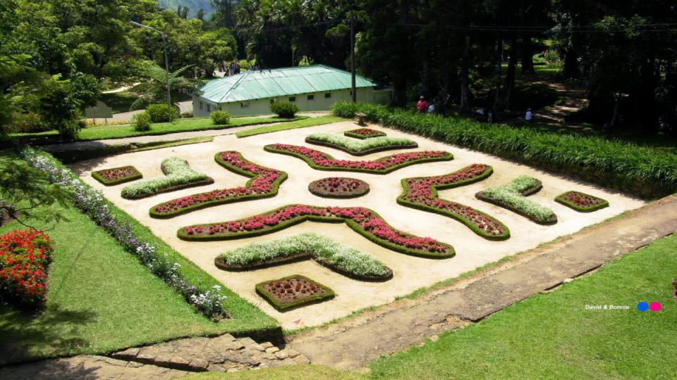 Haggala Botanical Garden - top destination in Sri Lanka