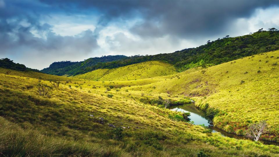 Horton Plains National Park - top destination in Sri Lanka