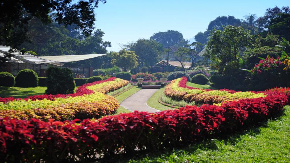 Peradeniya Botanical Garden - top destination in Sri Lanka