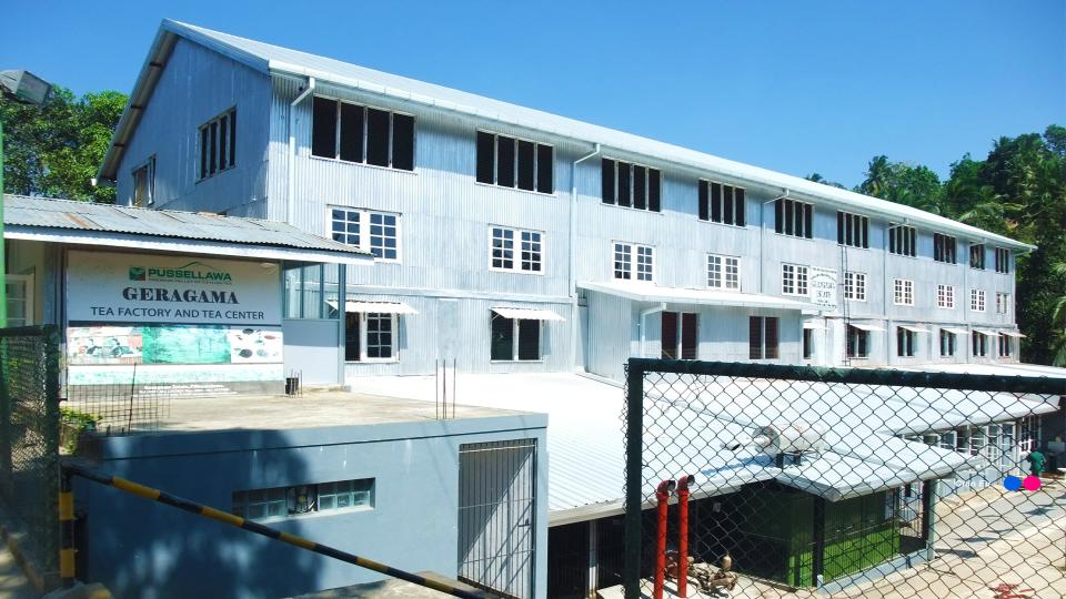 Giragama Tea Factory - top destination in Sri Lanka