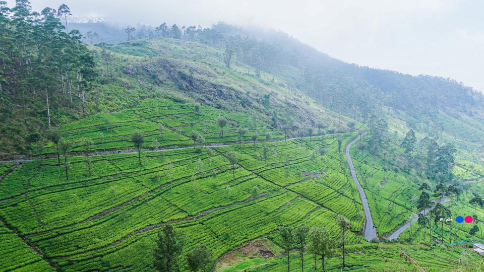 Bandarawela - top destination in Sri Lanka