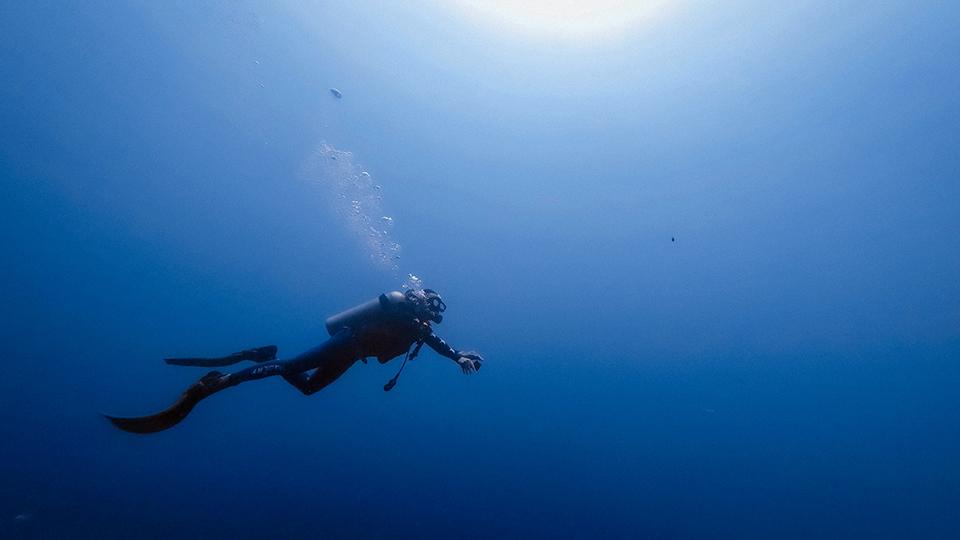 Sri Lanka Diving & Snorkeling - top destination in Sri Lanka