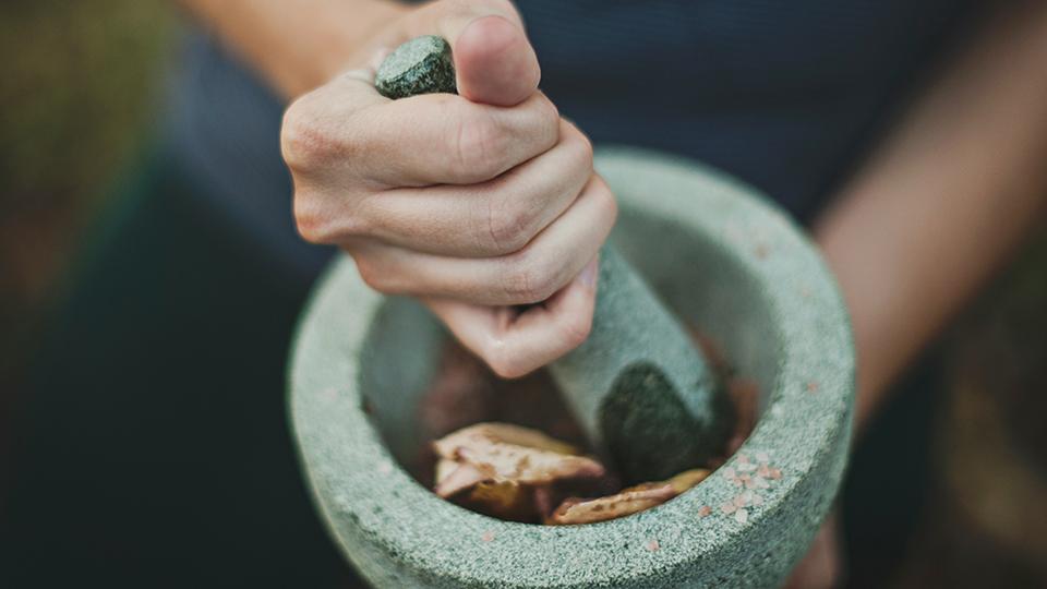 Sri Lankan Ayurveda - top destination in Sri Lanka