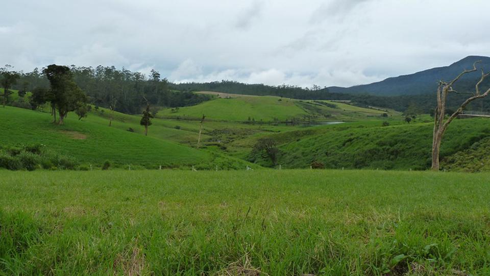 Ambewela - top destination in Sri Lanka