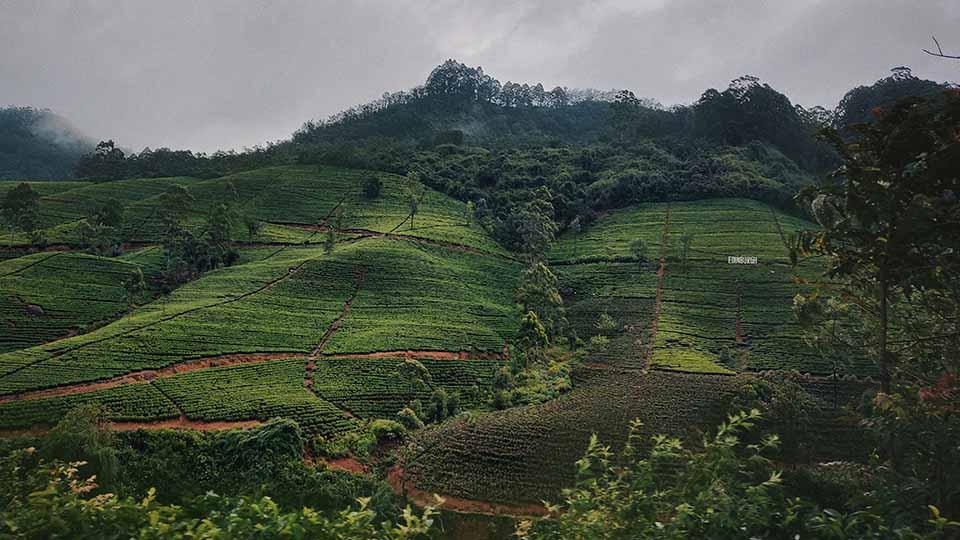 Nuwara Eliya - top destination in Sri Lanka