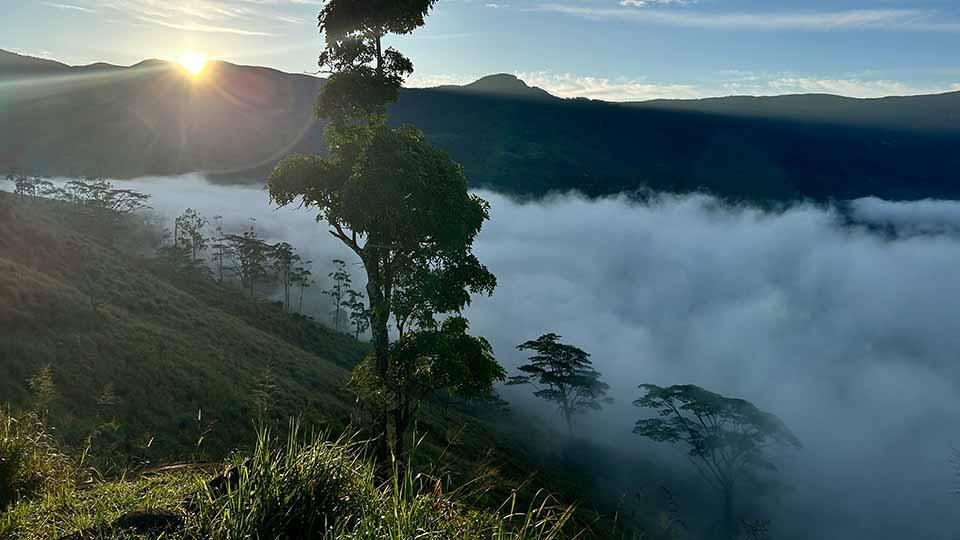 Matale - top destination in Sri Lanka