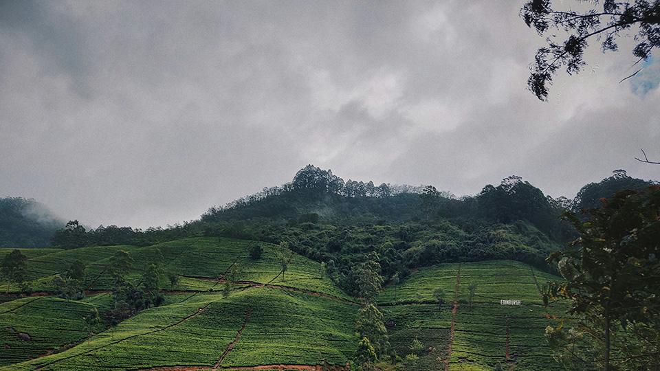 Hill Country - top destination in Sri Lanka