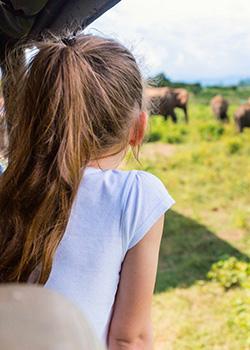 Sri Lanka to offer livestreams from wildlife parks – Sri Lanka travel news