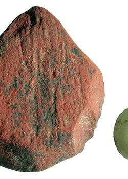 Ancient tools show how humans adapted to rainforests – Sri Lanka travel news